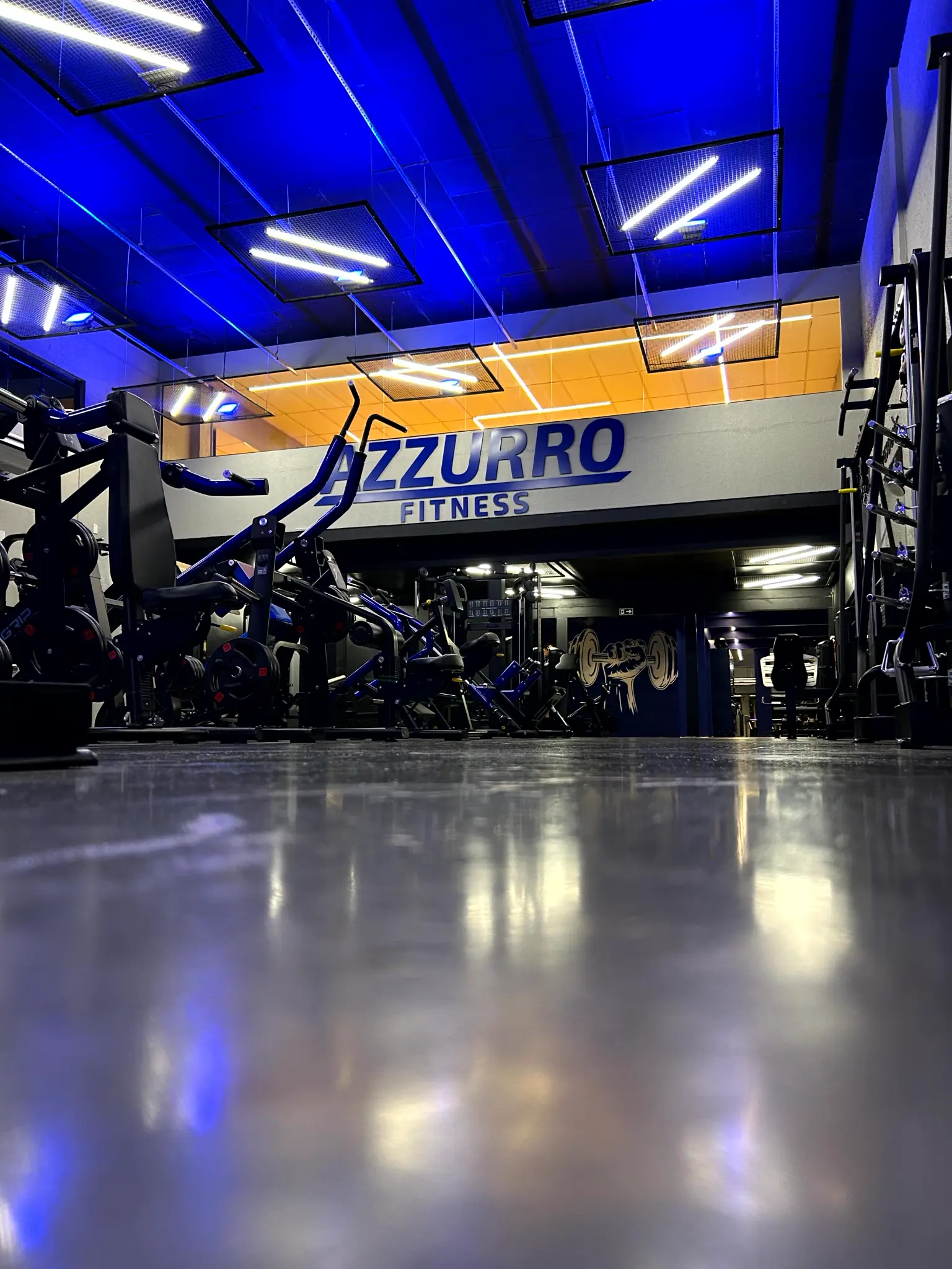 Musculação Azzurro